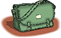 bag.gif